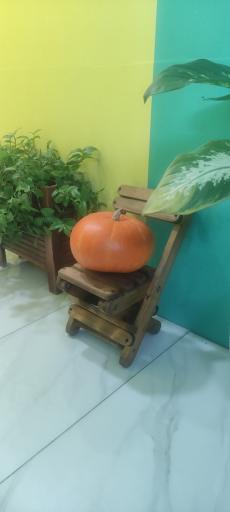 عکس کافه دلنشین