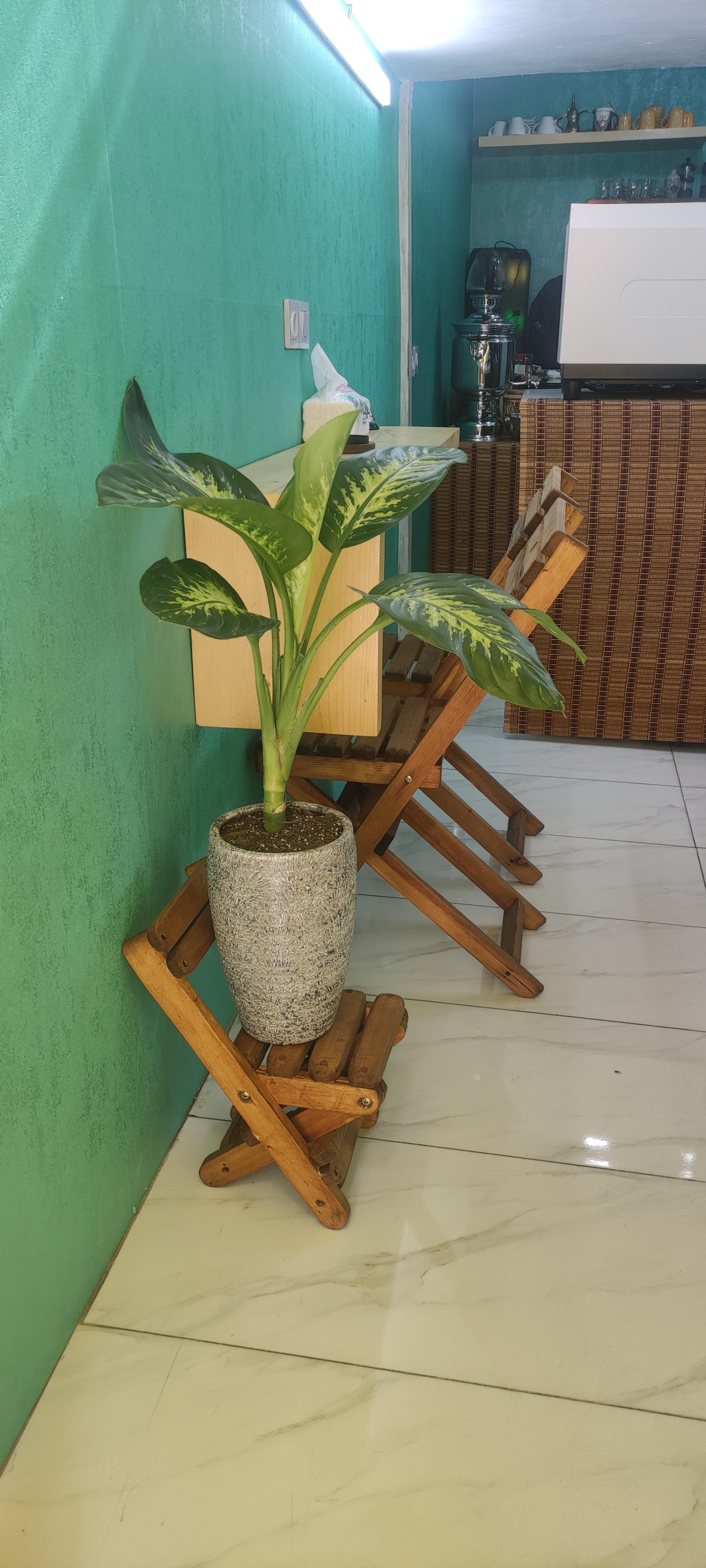 عکس کافه دلنشین