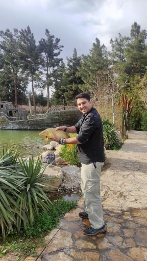 عکس برکه ماهی