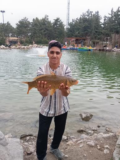 عکس برکه ماهی