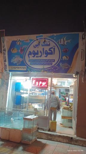 عکس آکواریوم تنگ آبی