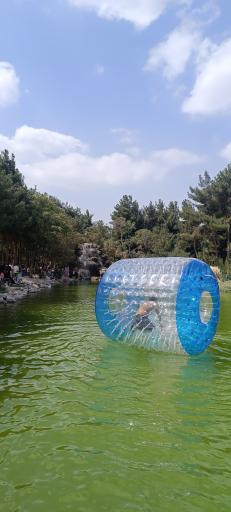 عکس برکه ماهی