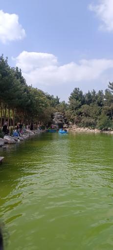 عکس برکه ماهی