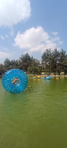 عکس برکه ماهی