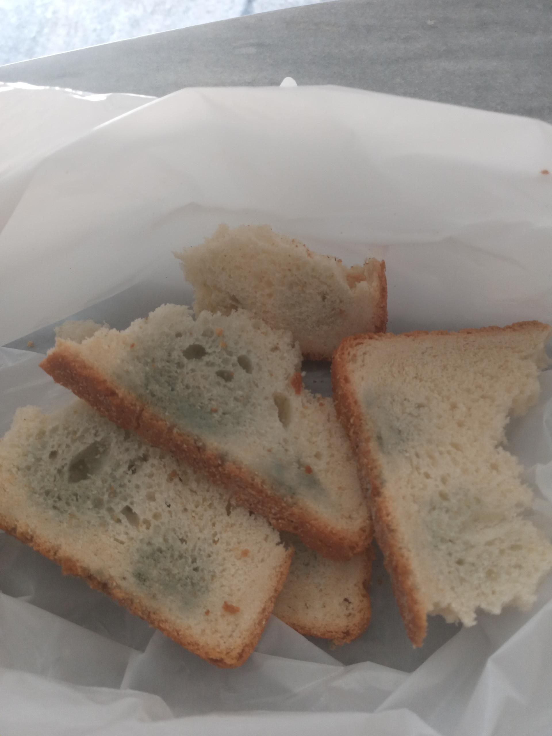 عکس نان فانتزی برکت