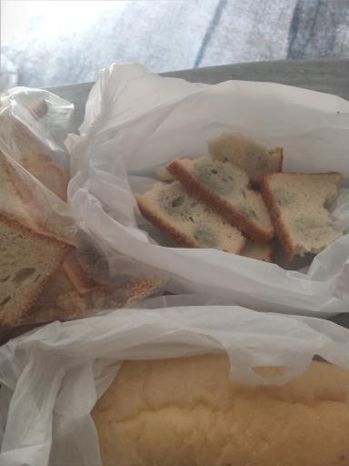 عکس نان فانتزی برکت