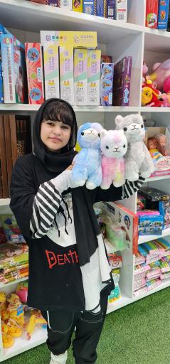 عکس اسلایم یزد بست