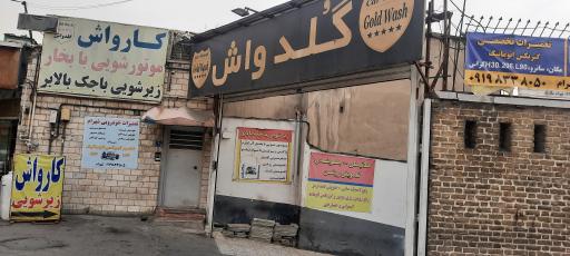 عکس کارواش گلدواش