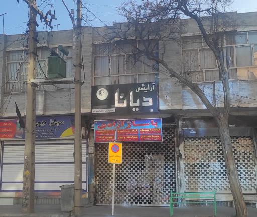 عکس آرایشی دیانا