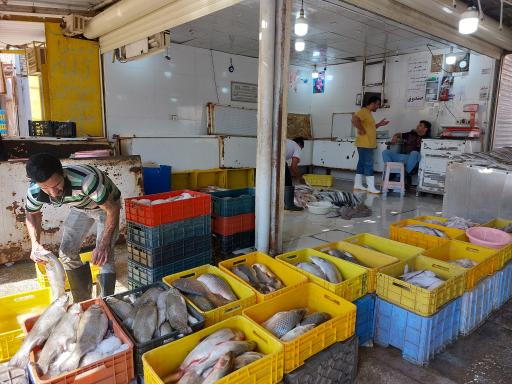 عکس ماهی‌فروشی خلیج فارس