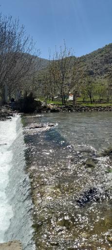عکس نجوبران