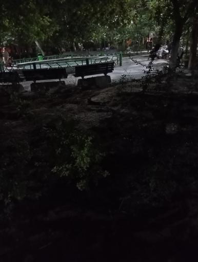 عکس بوستان ابیانه