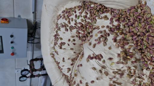 عکس سوهان و گز محمدجواد