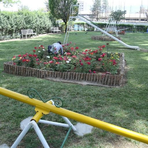 مجتمع فرهنگی و رستوران سلامت