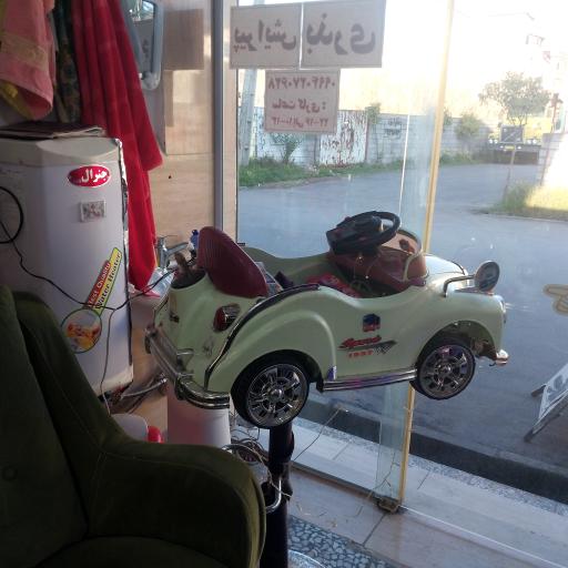 عکس پیرایش بذری