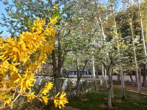 عکس دانشگاه علوم توانبخشی و سلامت اجتماعی