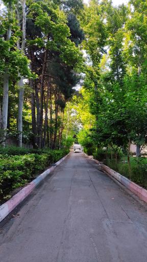 عکس دانشگاه علوم توانبخشی و سلامت اجتماعی