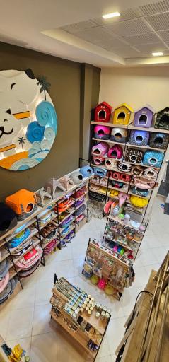 عکس پت شاپ جزیره