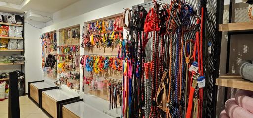 عکس پت شاپ جزیره