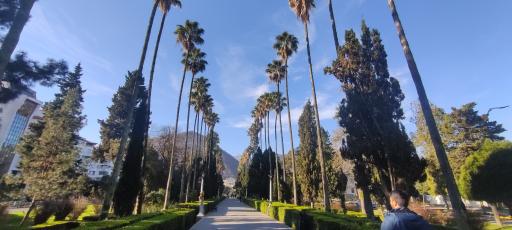 عکس کازینو قدیم رامسر