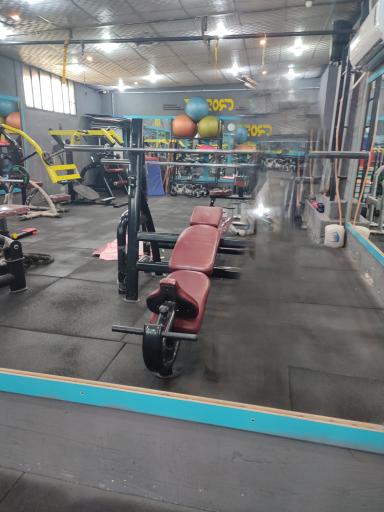 عکس باشگاه بانوان ضربان