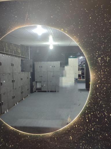 عکس باشگاه بانوان ضربان