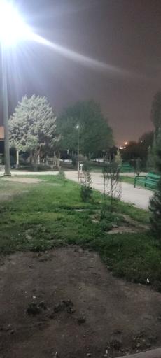 عکس بوستان جنگلی ساحل