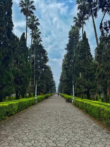 عکس کازینو رامسر