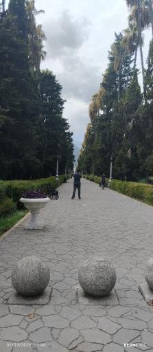 عکس کازینو رامسر