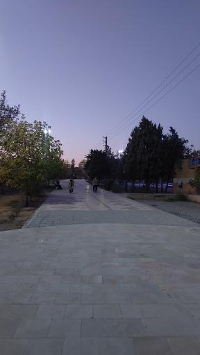 عکس بوستان جنگلی ساحل
