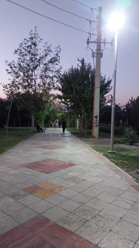 عکس بوستان جنگلی ساحل
