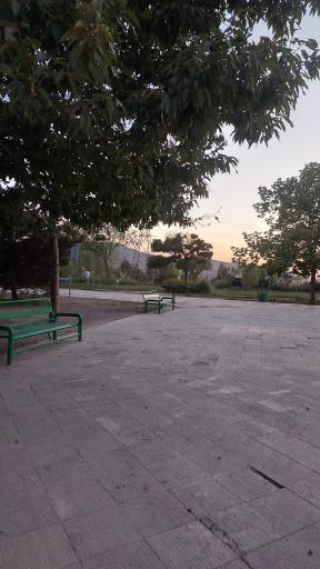 عکس بوستان جنگلی ساحل