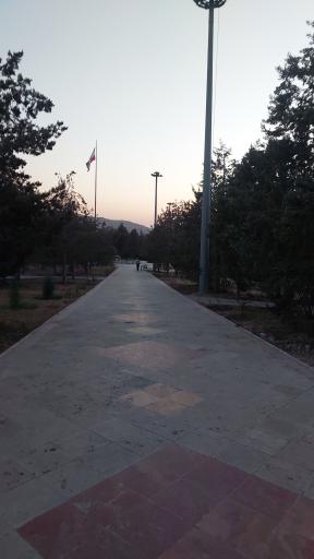 عکس بوستان جنگلی ساحل