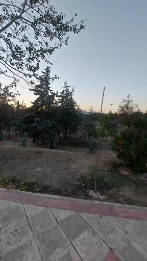 عکس بوستان جنگلی ساحل