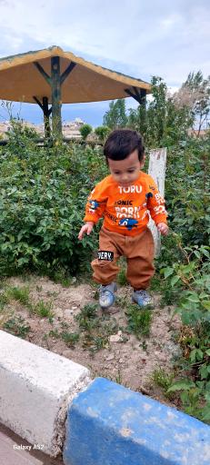 پارک خلیج فارس (باغ امامی)