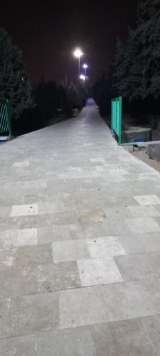 عکس بوستان جنگلی ساحل