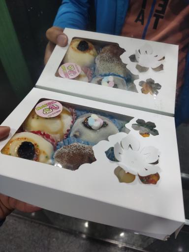 عکس موچی سیتی