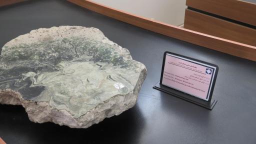 عکس موزه آثار تاریخی بیشاپور (تنگ چوگان)