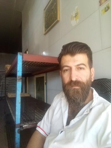 عکس نانوایی محمدی