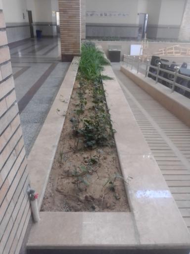 عکس دانشکده فنی مهندسی