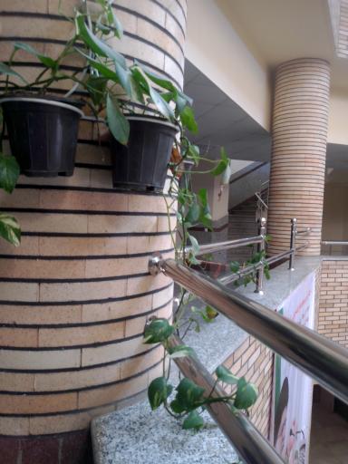 عکس دانشکده فنی مهندسی