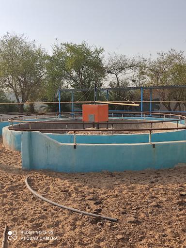 عکس باشگاه سوارکاری محسنی 