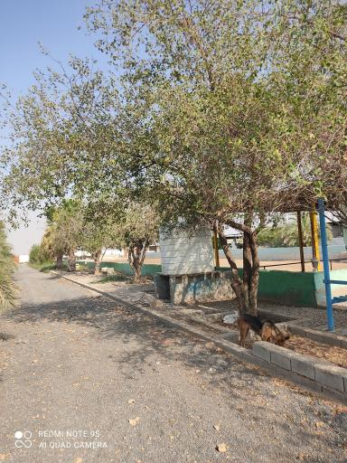 عکس باشگاه سوارکاری محسنی 