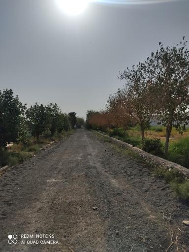 عکس باشگاه سوارکاری محسنی 