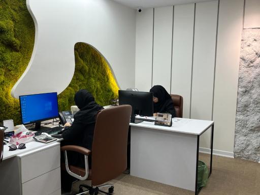 عکس ایده بسپار ایرانیان