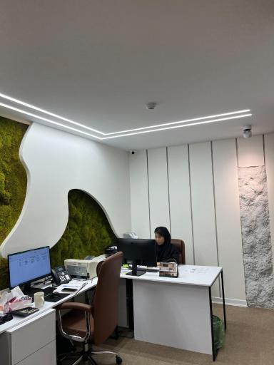 ایده بسپار ایرانیان