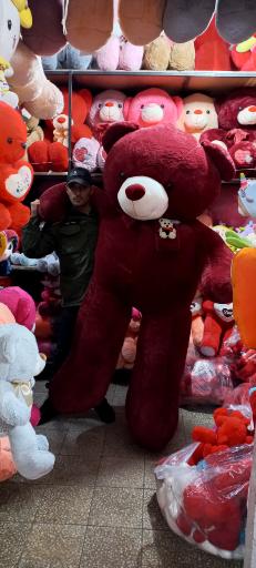 عکس عروسک و اسباب بازی قصر کودک