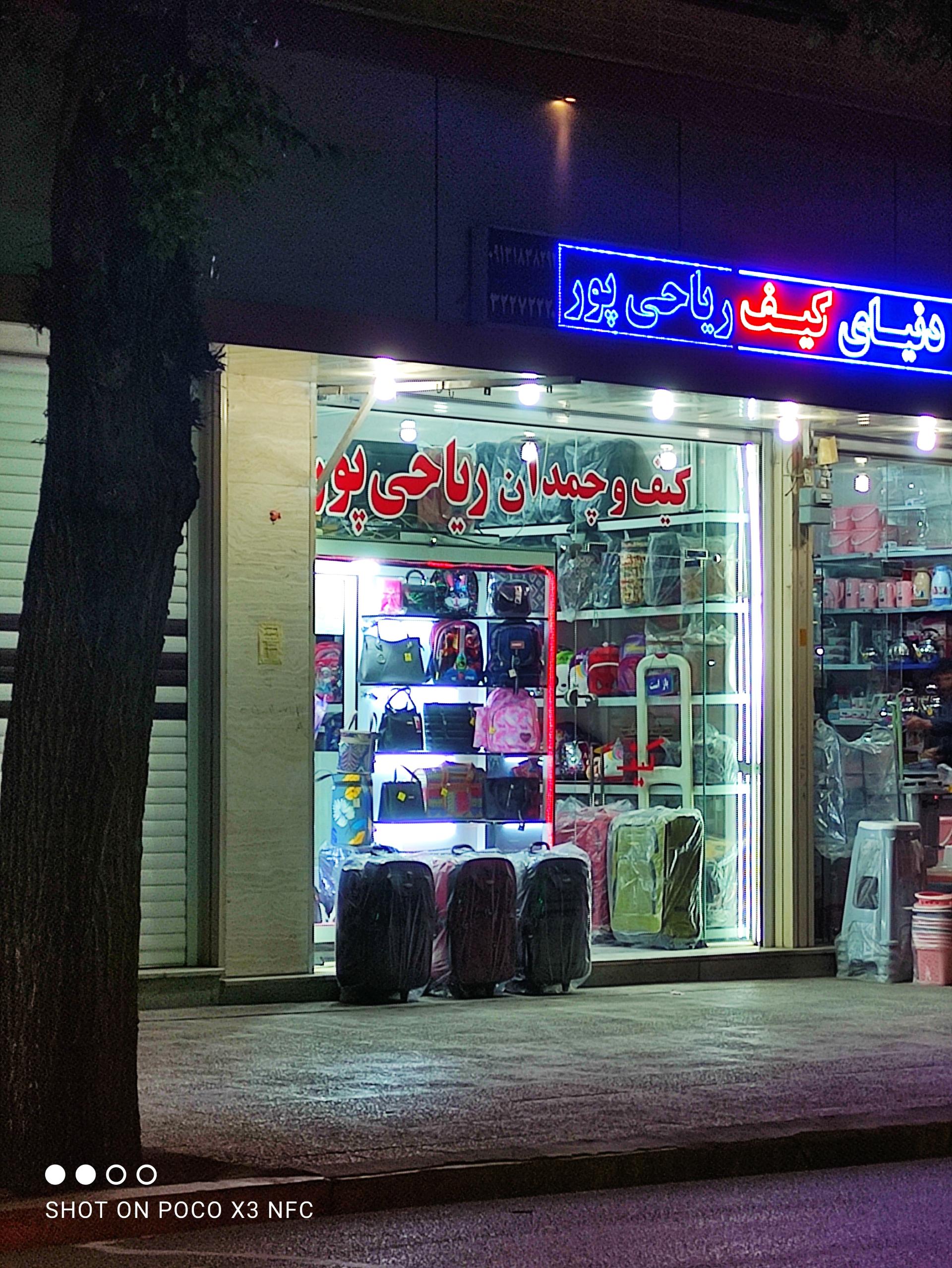 عکس کیف و چمدان ریاحی پور