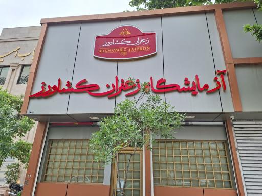 عکس زعفران کشاورز 