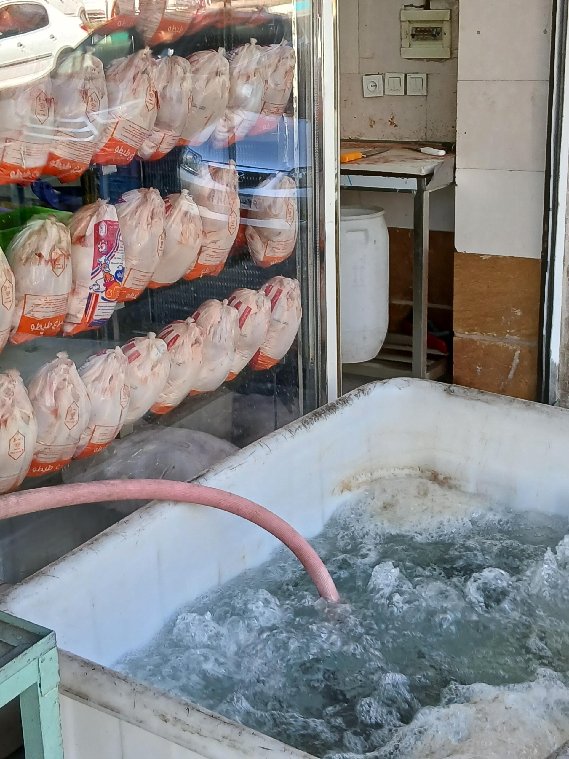 عکس مرغ و ماهی فروشی